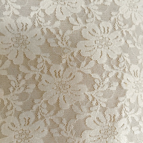 NWOT. Talbots petite stretch cream colored lace top.  Lightweight and pretty. - Picture 5 of 8